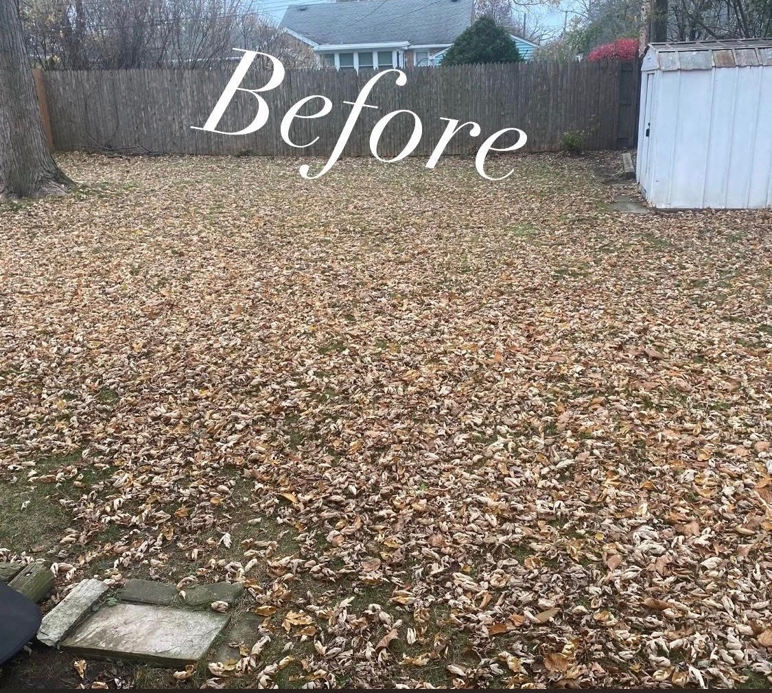 Backyard lawn installation bordered by privacy wooden fence