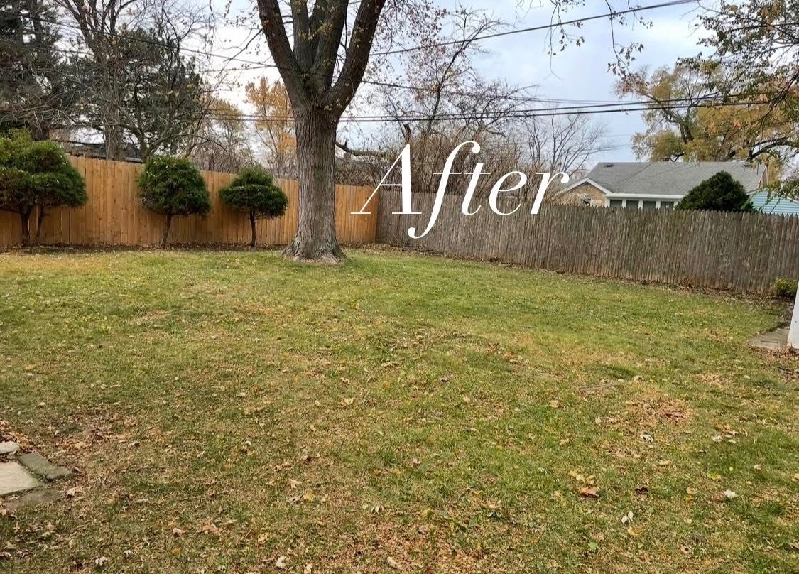 Lawn transformation before and after cleanup project