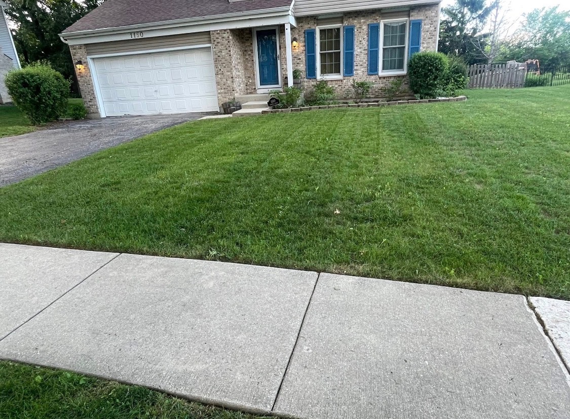 Residential property lawn care and shrub trimming